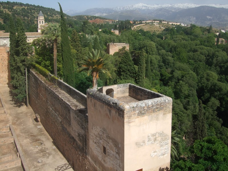 Anadalusien 2009 - 0880 